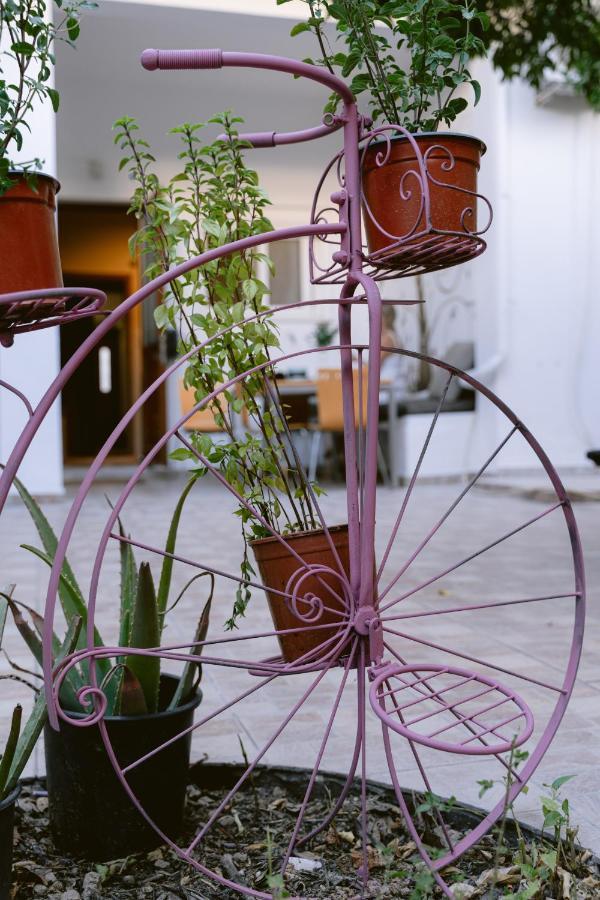 Armonia-Art House Apartment คอสทาวน์ ภายนอก รูปภาพ